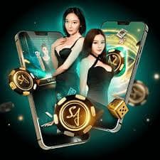 7k bet br